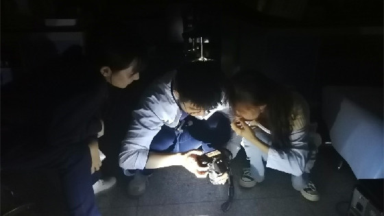 a4d0df6a37f63d144bf54d8f6a262b59.jpg 12_副本.jpg